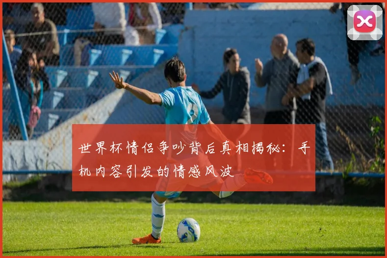 世界杯情侣争吵背后真相揭秘：手机内容引发的情感风波
